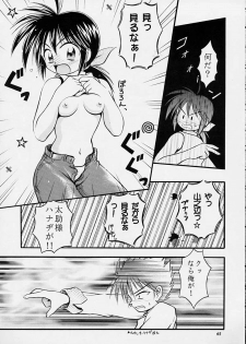 (C55) [Riroland (Kuuya, Satomi Hiroyuki)] Chanto Chanto no Rinshan Kaihou! (Mamotte Shugogetten, Sorcerous Stabber Orphen) - page 44