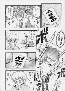 (C55) [Riroland (Kuuya, Satomi Hiroyuki)] Chanto Chanto no Rinshan Kaihou! (Mamotte Shugogetten, Sorcerous Stabber Orphen) - page 45