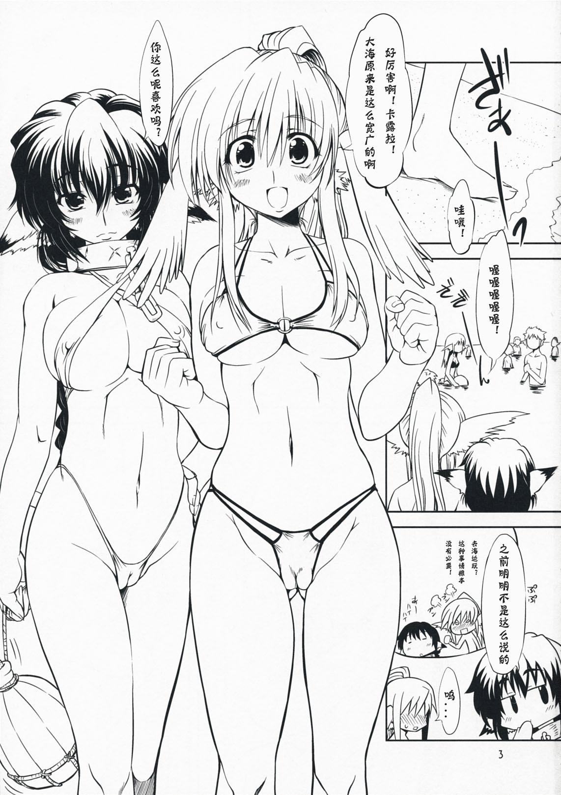 (C76) [Chinpudo (Marui)] Hashokukei (Tears to Tiara, Utawarerumono) [Chinese] {神风汉化组} page 3 full