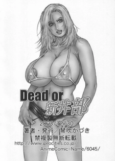 (C65) [H&K (Kotobuki Kazuki)] Dead or Alive (Dead or Alive) - page 29