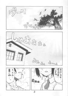 (C66) [Poo & Momodenbu (Ninomae Hajime)] Nisemono! 1 (Yotsubato!) - page 3