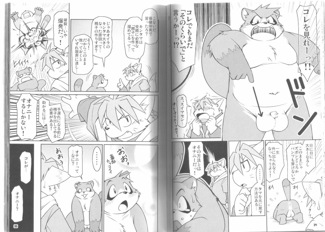 (C73) [Fuwamoko Honpo (Various)] Ponpokopon! page 18 full