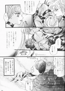 [Pineapple Paradise Pappala Party Club (Matsuzaka Reia)] Haitoku no Koi o Shite Mimasen ka Ecstasy Girl (Bishoujo Senshi Sailor Moon) - page 25