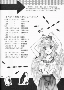 [Pineapple Paradise Pappala Party Club (Matsuzaka Reia)] Haitoku no Koi o Shite Mimasen ka Ecstasy Girl (Bishoujo Senshi Sailor Moon) - page 34