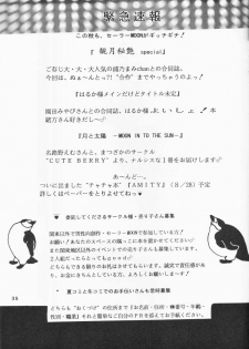 [Pineapple Paradise Pappala Party Club (Matsuzaka Reia)] Haitoku no Koi o Shite Mimasen ka Ecstasy Girl (Bishoujo Senshi Sailor Moon) - page 35