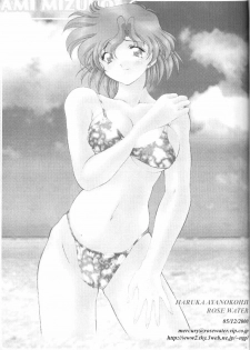 (C58) [Rose Water (Haruka Ayanokouji)] Rose Water 11 Rose Fever (Bishoujo Senshi Sailor Moon) - page 3