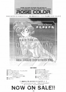 (C59) [Rose Water (Haruka Ayanokouji)] Rose Water 12 Rosette (Bishoujo Senshi Sailor Moon) - page 44