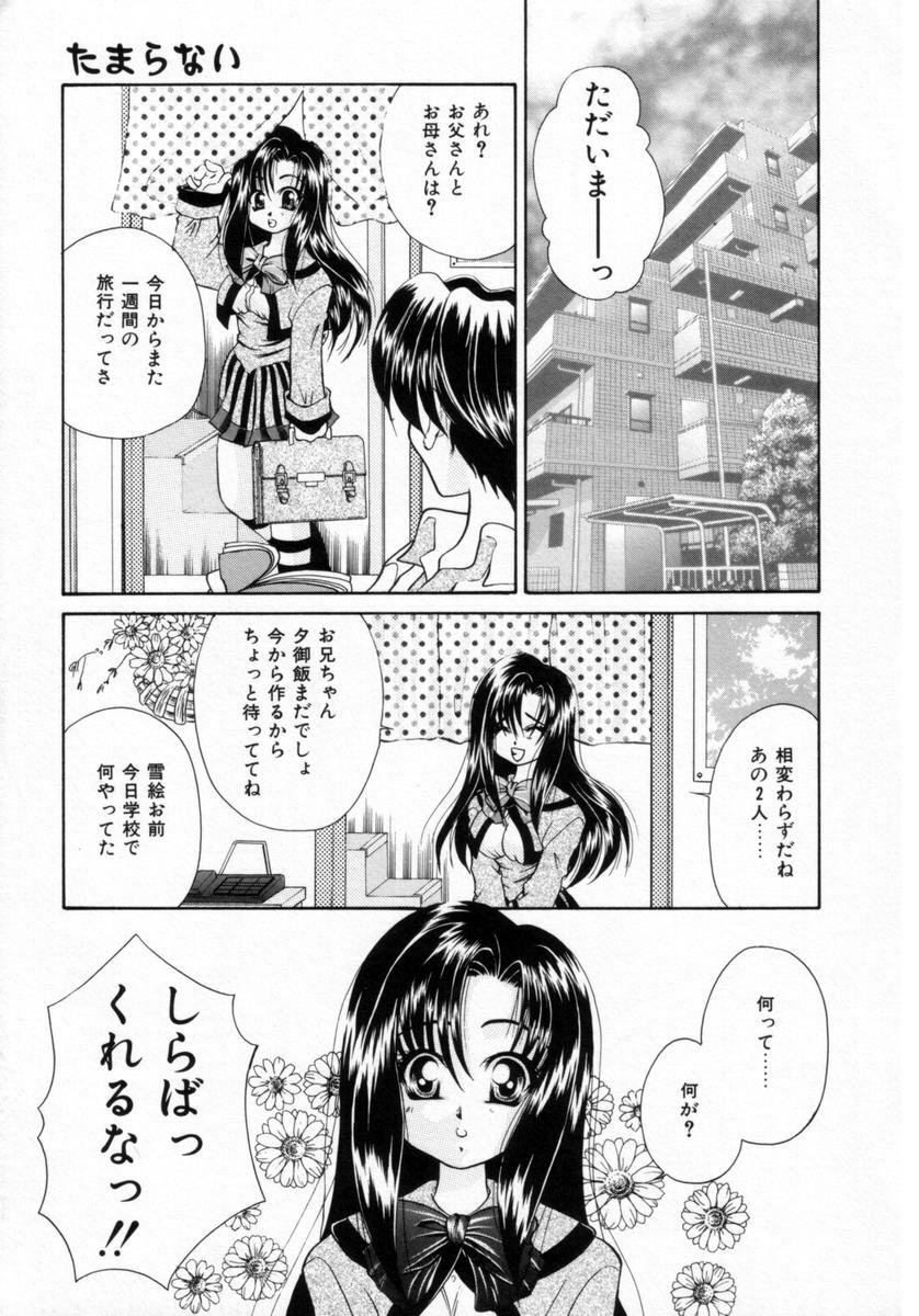 [Tachibana Takashi] Pajama no Manma page 158 full