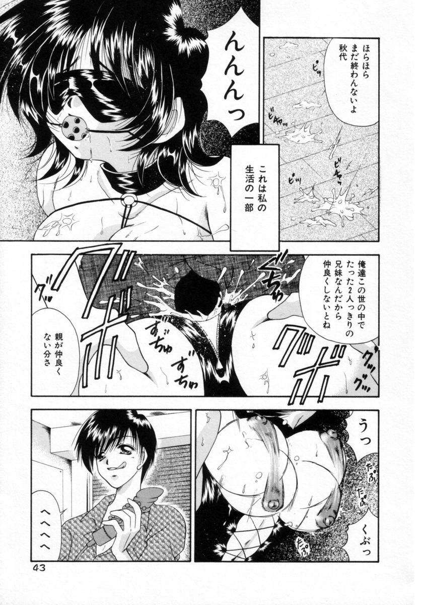[Tachibana Takashi] Pajama no Manma page 42 full