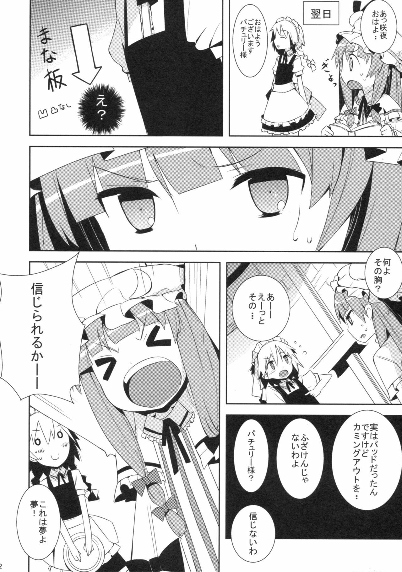 (Reitaisai 6) [NURSERYTALE (Yamane Masato)] Sugar (Touhou Project) page 12 full