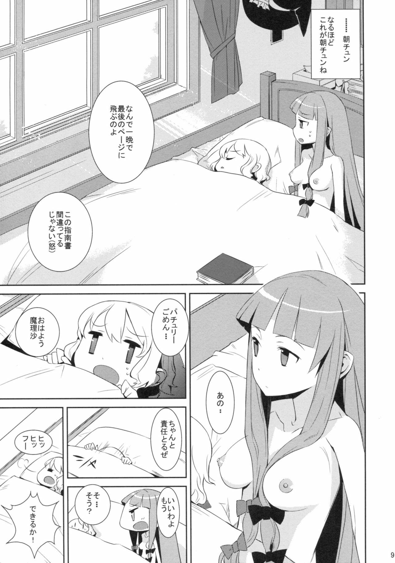 (Reitaisai 6) [NURSERYTALE (Yamane Masato)] Sugar (Touhou Project) page 9 full