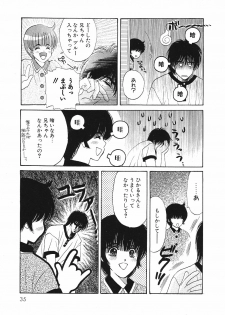 [Hoshizaki Ryuu] 2x2 Channel - page 38