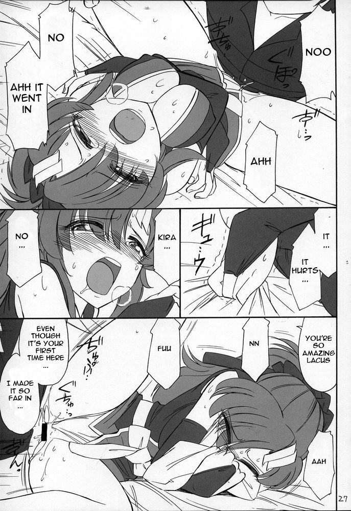 (C69) [EINSATZ GRUPPE (Charlie Nishinaka)] PRISONER 7 The Original Bird (Gundam SEED Destiny) [English] [ReMoe] page 26 full