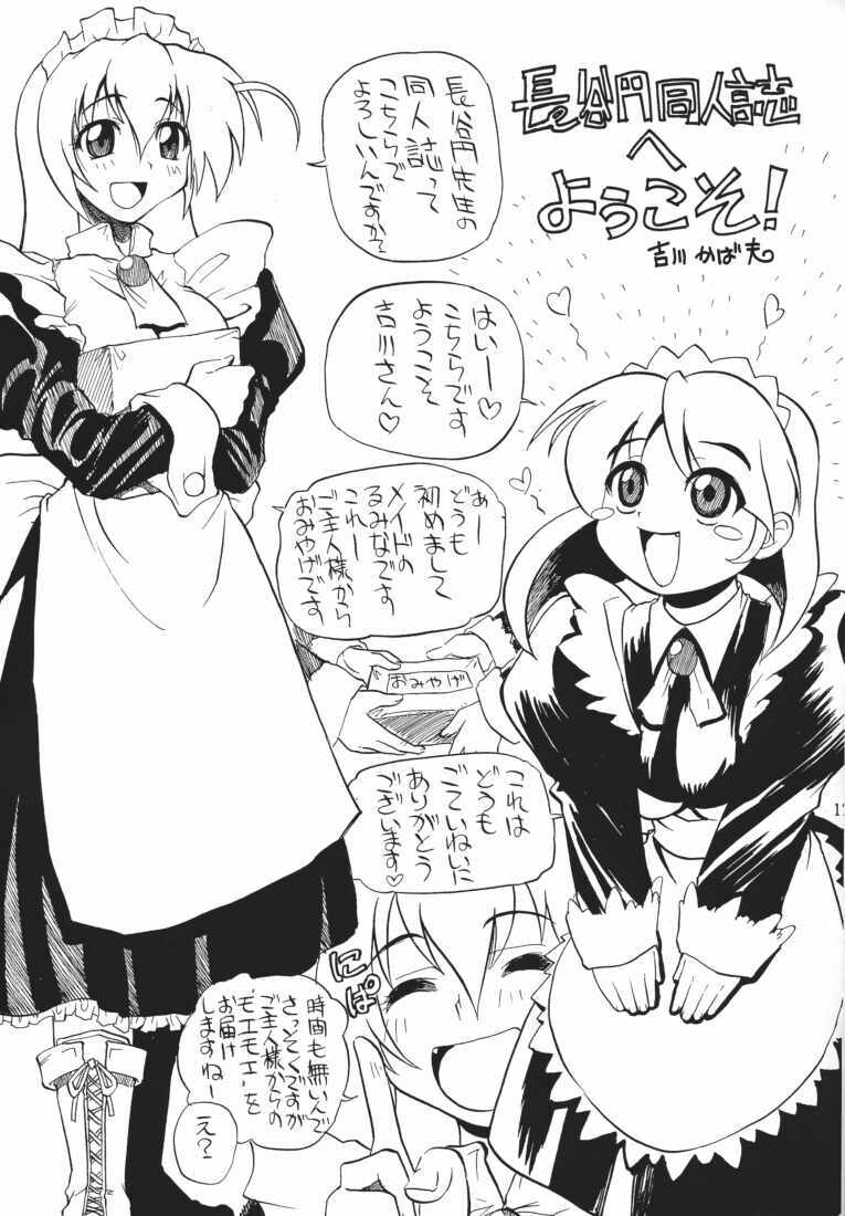 (C61) [Tsurugashima Heights (Various)] MAID GP2001 page 13 full