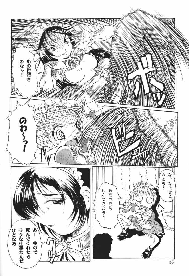 (C61) [Tsurugashima Heights (Various)] MAID GP2001 page 34 full