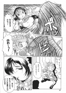 (C61) [Tsurugashima Heights (Various)] MAID GP2001 - page 34