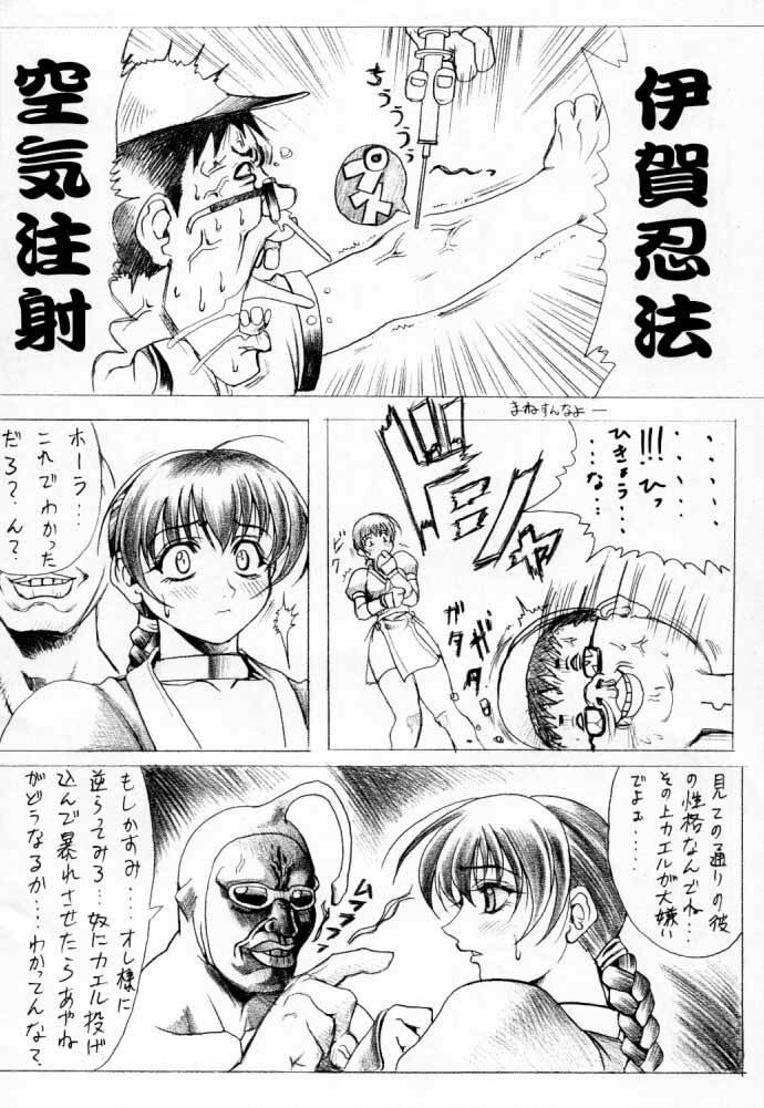 (C56) [Wolkenkratzer (Bontenkarasu)] Penalty Pleasant (Dead or Alive) page 13 full