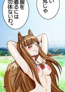 (SC38) [Raijinkai (Harukigenia)] Wolf Road (Ookami to Koushinryou [Spice and Wolf]) [Colorized] - page 13