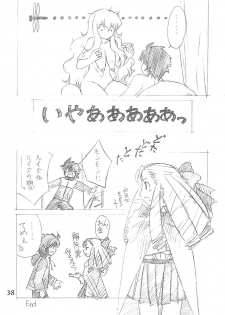 (C73) [Ikibata 49ers (Nishiki Yoshimune)] Zero Sen (Zero No Tsukaima) - page 38