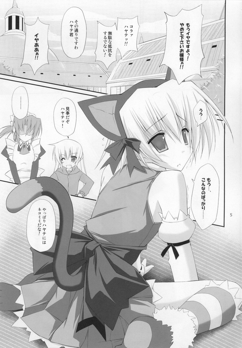 (C76) [r.i.s factory (Ruschuto)] PUNISHMENT 2 (Hayate no Gotoku!) page 4 full