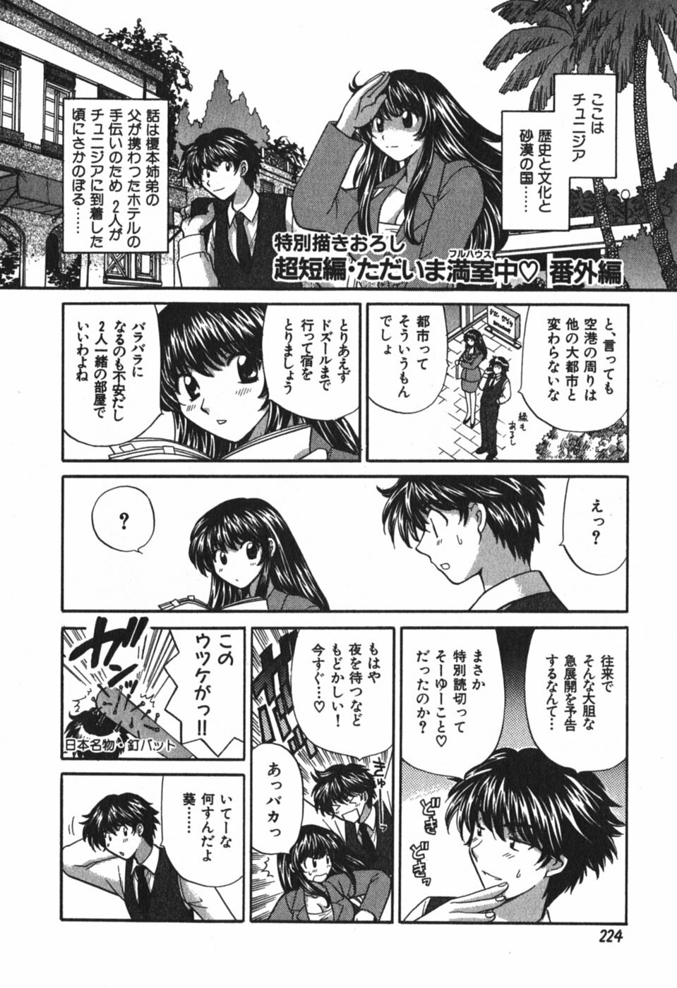 [Hirose Miho] Tadaima manshitsu chuu 3 page 227 full