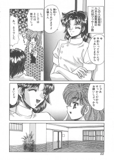 [Nekojima Lei] Kyonyuu ni Mukanai Shokugyou - not Suited be Occupation - page 21