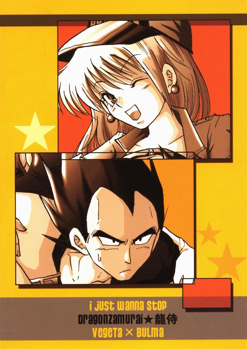 I Just Wanna Stop (Dragonball Z) [Vegeta X Bulma] page 25 full