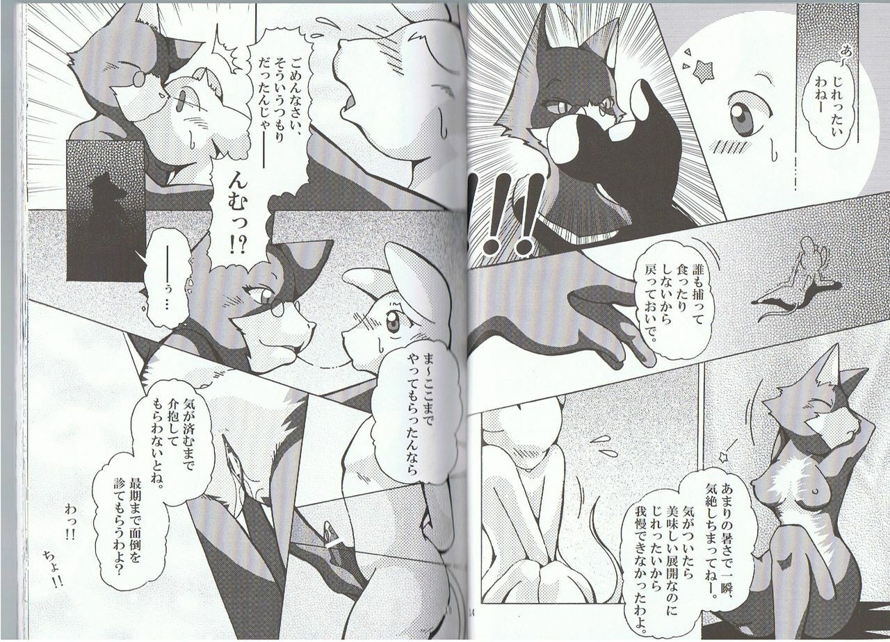 Seishun 18kin Kippu 2 page 7 full