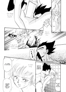 (C61) [Ryujin-kai (HITO Ribuki)] Saru no Fukou wa Mitsu no Aji | The Monkey's Misery is a Secret Pleasure (Dragon Ball Z) [English] [Arigatomina] - page 15