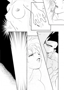 (C61) [Ryujin-kai (HITO Ribuki)] Saru no Fukou wa Mitsu no Aji | The Monkey's Misery is a Secret Pleasure (Dragon Ball Z) [English] [Arigatomina] - page 17