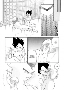 (C61) [Ryujin-kai (HITO Ribuki)] Saru no Fukou wa Mitsu no Aji | The Monkey's Misery is a Secret Pleasure (Dragon Ball Z) [English] [Arigatomina] - page 18
