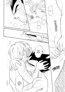 (C61) [Ryujin-kai (HITO Ribuki)] Saru no Fukou wa Mitsu no Aji | The Monkey's Misery is a Secret Pleasure (Dragon Ball Z) [English] [Arigatomina] - page 21