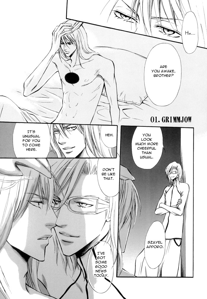 (SUPERKansai13) [Amainu (Naorin)] Brother Junbigou (Bleach) [English] [DPScanlations] page 2 full