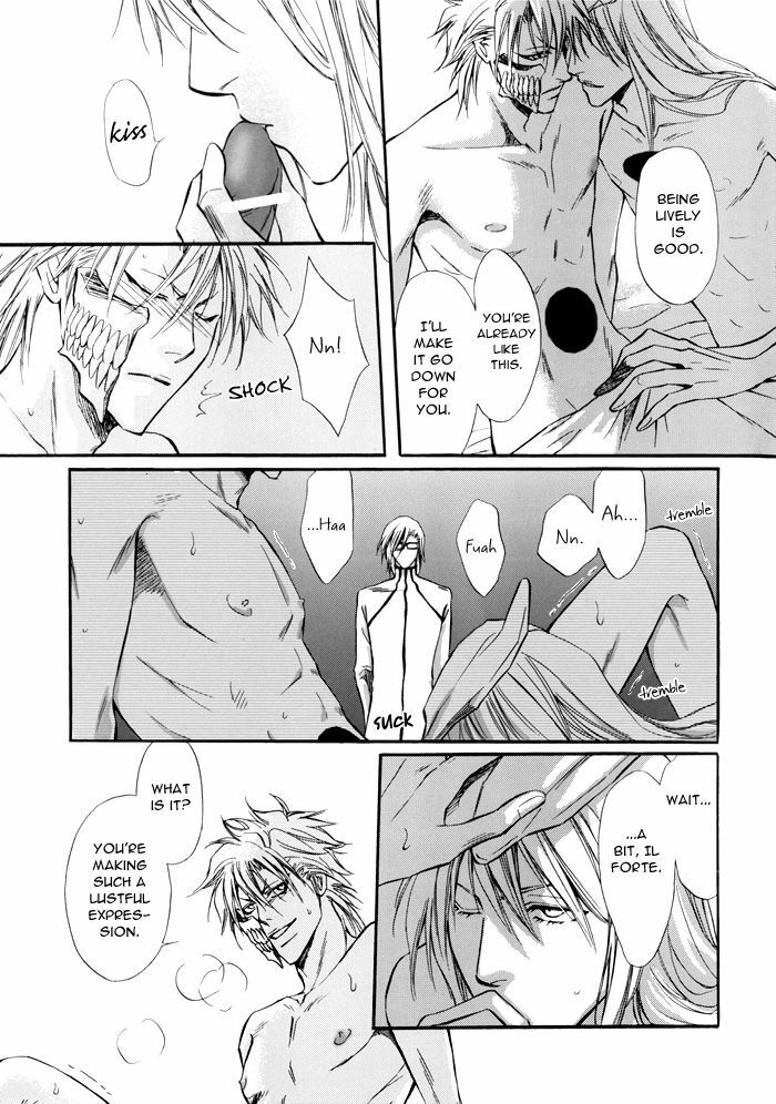 (SUPERKansai13) [Amainu (Naorin)] Brother Junbigou (Bleach) [English] [DPScanlations] page 4 full