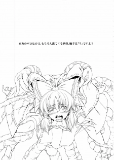 (C76) [FAKESTAR & RUBBISH SelecTing Squad (kari suke, Miharu, Namonashi)] T (Touhou ProjecT) - page 29