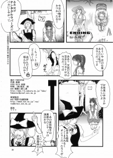 (C76) [FAKESTAR & RUBBISH SelecTing Squad (kari suke, Miharu, Namonashi)] T (Touhou ProjecT) - page 30