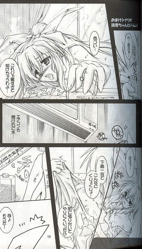 (C62) [ARUKU DENPATOU NO KAI (Kimura Shuuichi)] KONE KONE FANDISC (Mizuiro) page 17 full