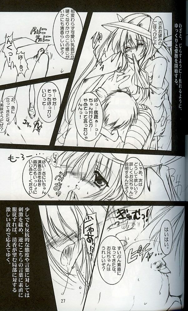 (C62) [ARUKU DENPATOU NO KAI (Kimura Shuuichi)] KONE KONE FANDISC (Mizuiro) page 25 full