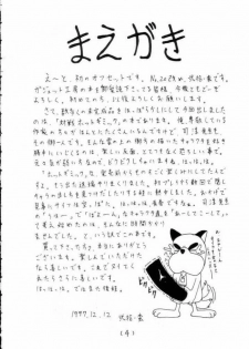 [Gadget Koubou (Nijuu Ban)] Mahjong Daiou - page 3