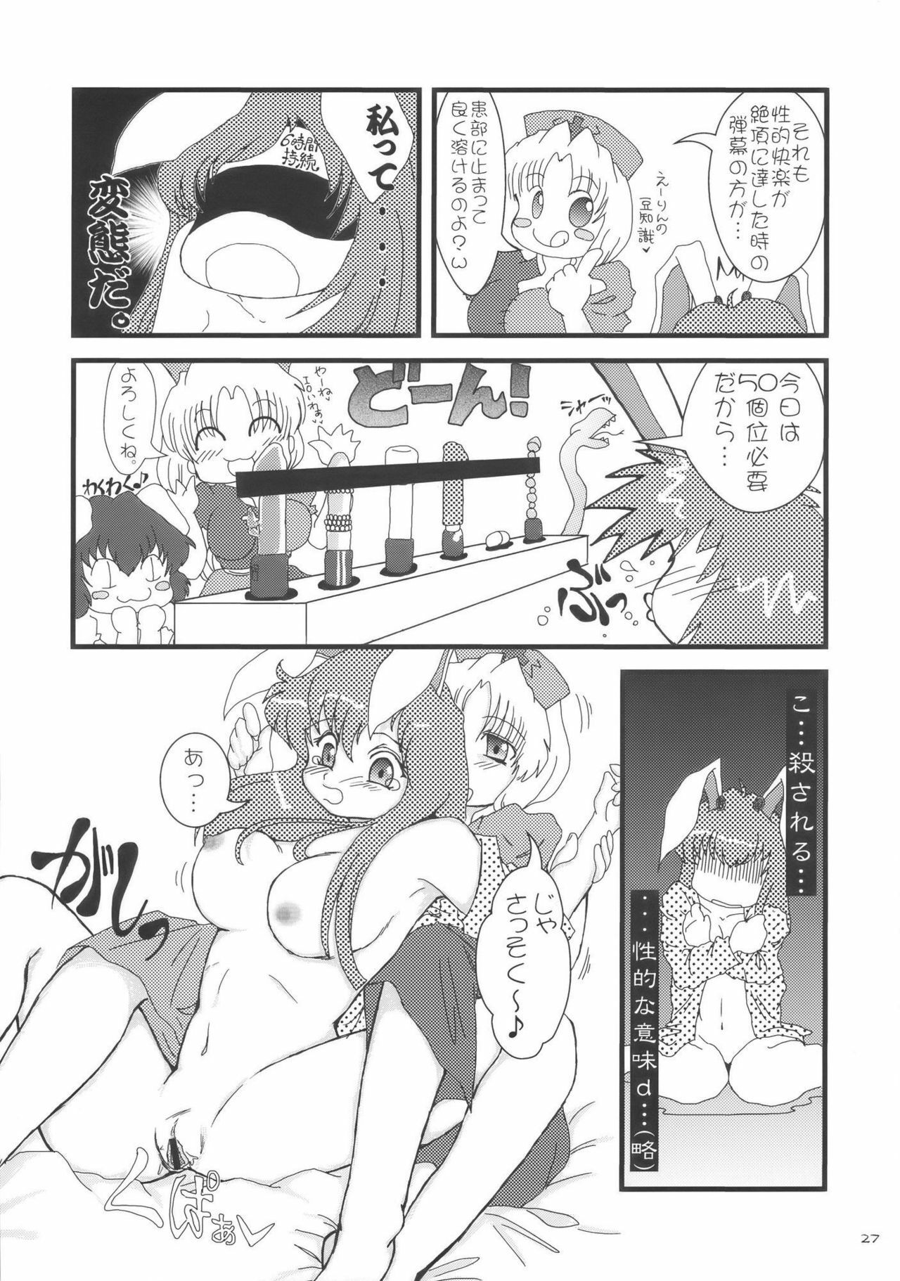 (C76) [Inukkoro Pen san (Penguin Glico, Inukedama)] Yes! Fallin' Love (Touhou Project) page 27 full