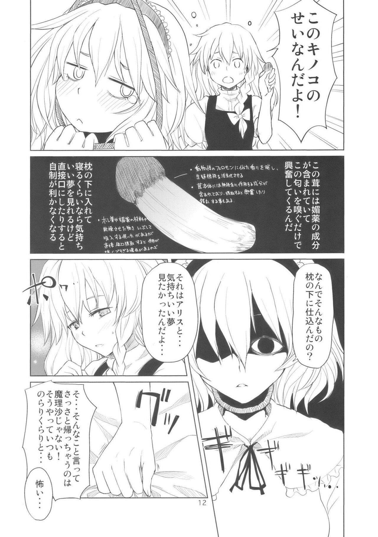(Kouroumu 5) [MMU2000 (Mishima Hiroji)] Alice no Jikan (Touhou Project) page 14 full