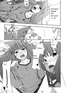 (Mimiket 16) [Neko no Paraiso (Neko no Te)] Ookami no Enbukyoku | Вальс Волчицы (Spice and Wolf) [Russian] [Timecraft] - page 15