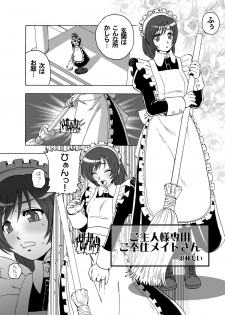 [Wire Frame Rifles] Goshujin-sama Senyou Gohoushi Maid-san - page 2