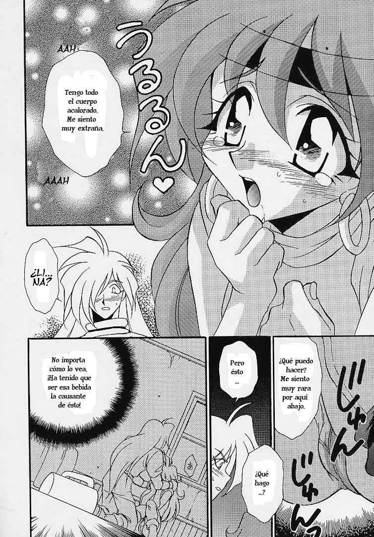 (C52) [Dark Water (Mikuni Saho, Tatsuse Yumino)] BOMBER GIRL (Slayers) [Spanish] page 5 full