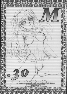 (C72) [Chuuka Mantou (Yagami Dai)] Mantou .30 (Neon Genesis Evangelion) - page 2