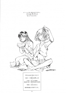 (C67) [Okinawa Taieki Gunjinkai (Yasunaga Kouichirou)] Suika wa Kawa ga Sukeru made (Niea_7) - page 25
