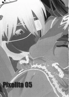 (C69) [Anime Brothers (Itsuki Kousuke)] PixelitA 05 - page 2