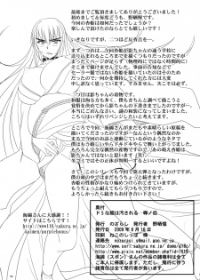 (C76) [Nozarashi (Nozarashi Satoru)] Do-S na Hime wa Kegasareru Haji no Kisaki - Soukan Yuugi - page 49