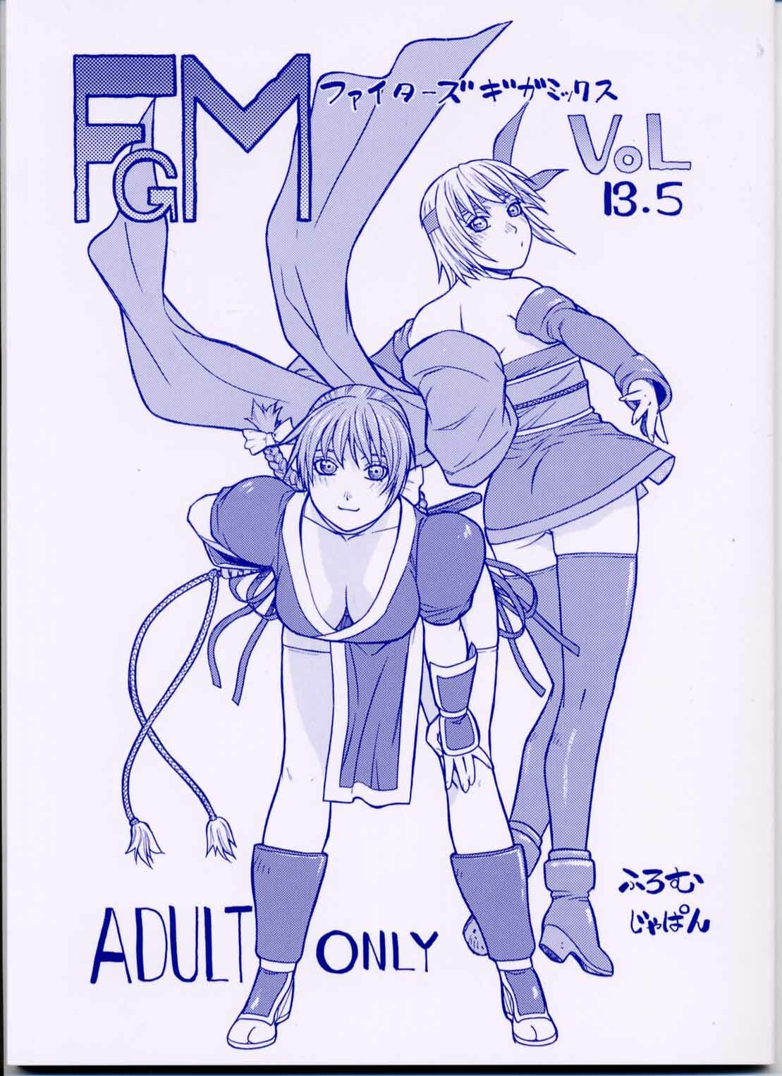 (CR30) [From Japan (Aki Kyouma)] FIGHTERS GIGAMIX FGM Vol.13.5 (Dead or Alive) page 1 full