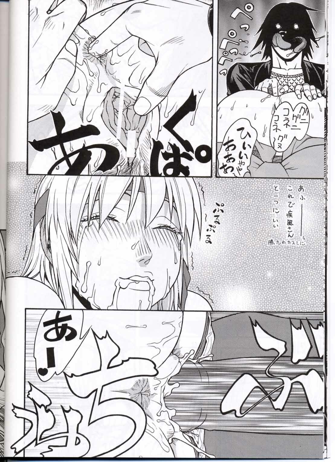 (CR30) [From Japan (Aki Kyouma)] FIGHTERS GIGAMIX FGM Vol.13.5 (Dead or Alive) page 13 full